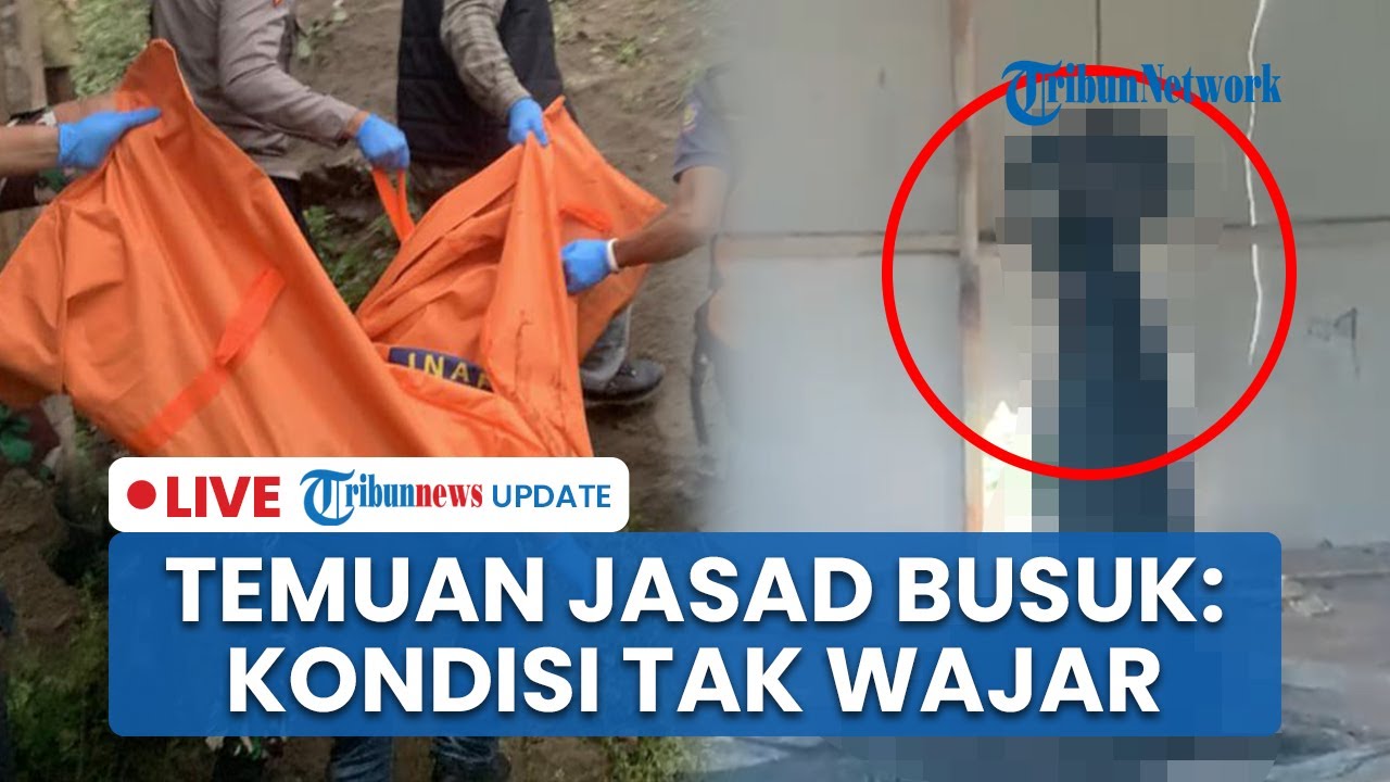 LIVE: Viral Video Penemuan Mayat Membusuk Tinggal Kerangka di Gubuk Cibatu, Berawal dari Bau Busuk