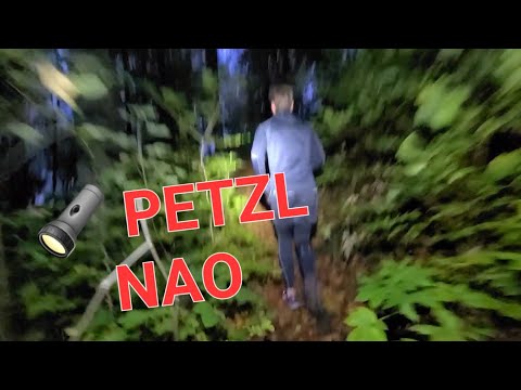 Test PETZL NAO RL . The brightest construction spotlight headlamp for a nighttime forest run