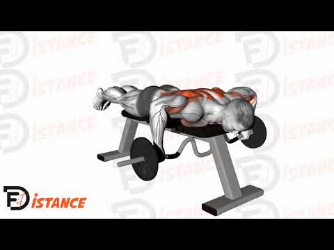 Seal row à la barre - Exercice Seal row à la barre en vidéo Seal row à la barre - Exercice Seal row à la barre en vidéo