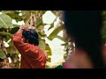 Thamara Poovukkum Thannikum Whatsapp Status Tamil Melody Love Songs Hd 4k