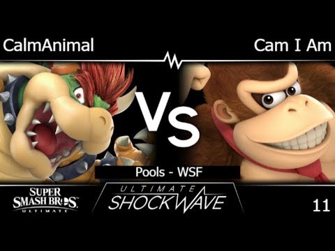 USW 11 - CTK | CalmAnimal (Bowser) vs Cam I Am (DK) Pools - WSF - SSBU
