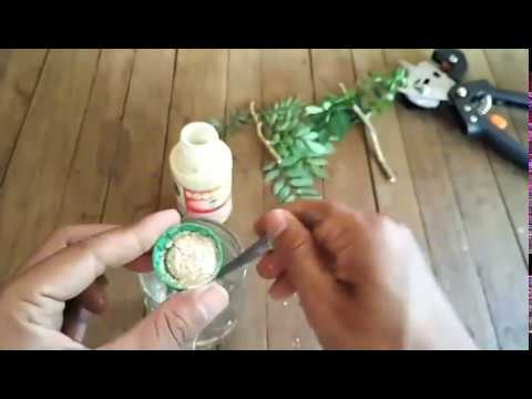 Memperkuat vitamin potensi Untuk pembesaran penis di Volgograd