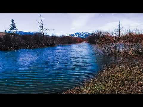 TastyChewy Presents Fela Kuti - Water No Get Enemy