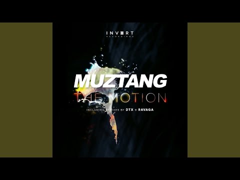 The Motion (Original Mix)