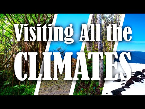 I Went to Every Different Climate on the Big Island of Hawaii! Climate Zones Explained