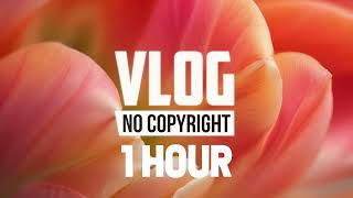[1 Hour] - Tinkan - Play With Fire [No Copyright Music]