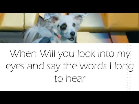 Tell me Cuando - lyrics