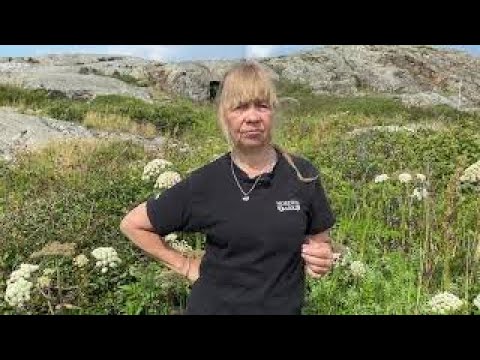 A vida nórdica. Avsnitt 4 - De 3 vanligaste frågorna samt blommor e bin