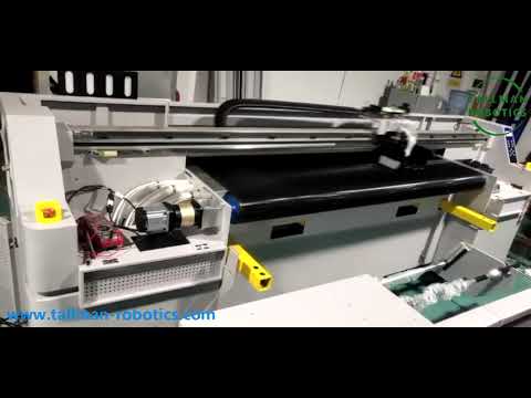 Gantry 3 Axis Robot XYZ linear Stage from Tallman Robotics Limtied