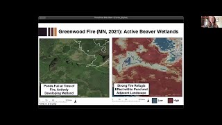 Keynote: Beavers: Architects of Climate Resilience -Dr. Emily Fairfax  | Big Ten GIS Conference 2025