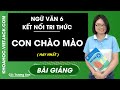 Con chào mào - Ngữ Văn 6 - Kết nối tri thức