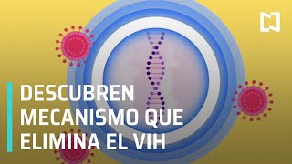 Descubren nuevo mecanismo que elimina el VIH del cuerpo - Las Noticias