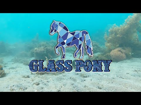 Glass Pony -  Bottom of the Ocean (Official Lyric Video)