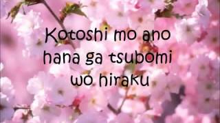 Sakura Ikimono Gakari Lyrics Letra
