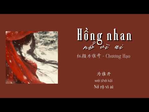 [Vietsub+Pinyin] Hồng nhan nở v&igrave; ai - Chương Hạo (OST Huyền Giới Chi M&ocirc;n) || 红颜为谁开 - 章昊 (《玄界之门》片尾曲）