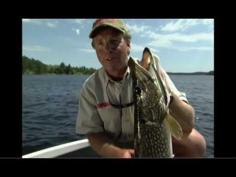 Vobler Rapala Husky Jerk 12cm 13g Purple Clown SP