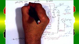 صورة 31 √ المضارع المبني