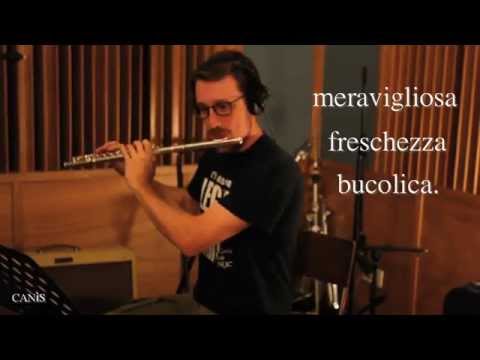 Daniele Soriani a.k.a. Canìs - Maggio