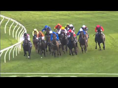 Randwick Race 9 April 9th 2016 - QUEEN ELIZABETH STAKES