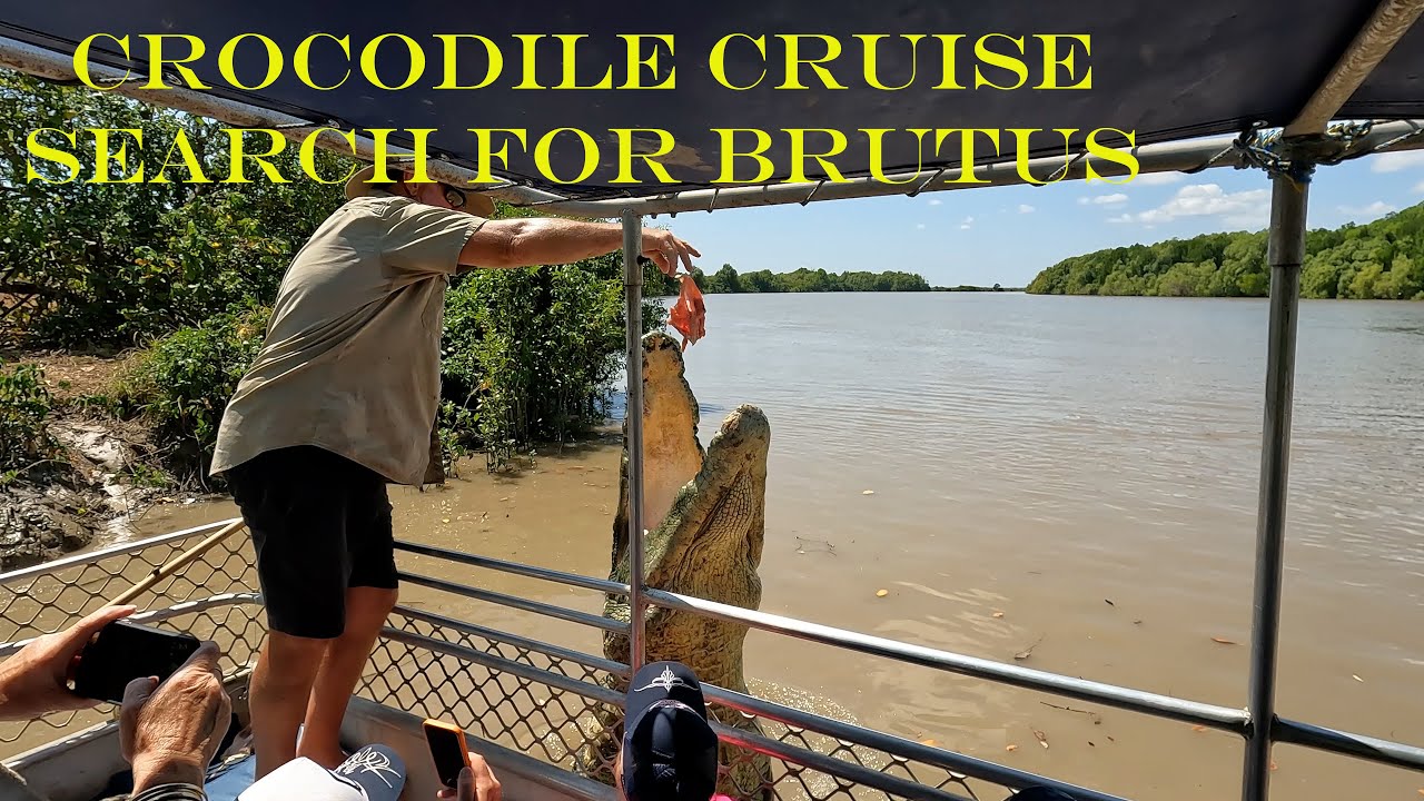 Witness spectacular crocodile jumps on river cruise tour.