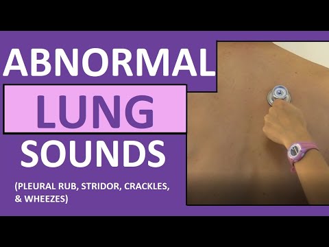 Lung Sounds (Abnormal) Crackles (Rales) Wheezes (Rhonchi) Stridor Pleural Friction Rub Breath Sounds