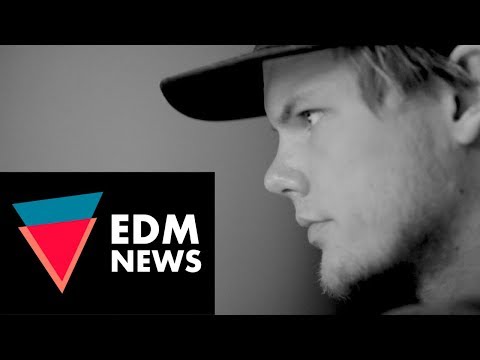 Avicii's Social Media Stats Doubled, Wolfgang Gartner Checks into REHAB !!!