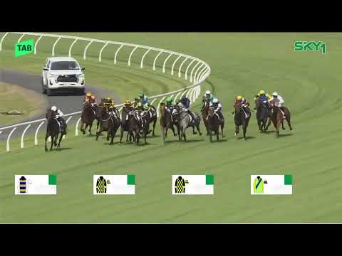 The NZB Kiwi 2025 - DAMASK ROSE (3YO SWP LR) Listed Ellerslie NZ 8 March