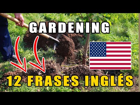 12 FRASES MUY USADAS EN INGLES DE JARDINERIA | Aprender Ingles con Alan