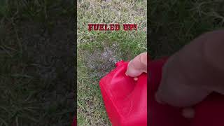 Fire on Fire Ant Hill: Burning an Ant Hill with Fire #shorts #youtubeshorts