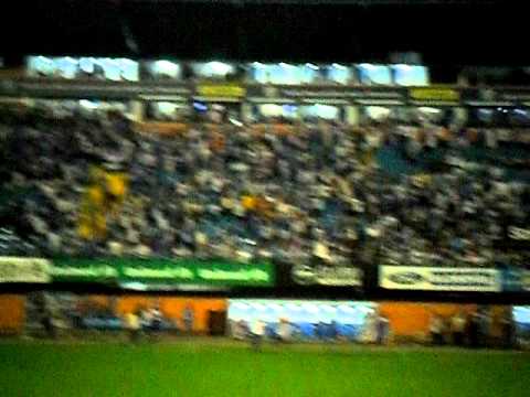 torcida apaixonada sc