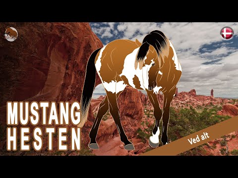 , title : 'MUSTANG HEST, vilde heste på Great Plains og Rocky Mountains, HESTERACER'