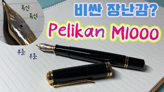 펠리칸 M1000의 연성을 느껴보셨나요? (Feat. M800, 몽블랑 149)