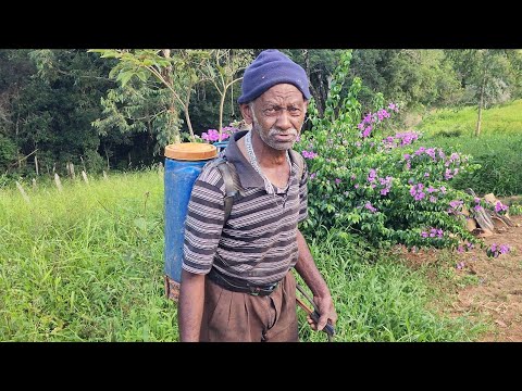Zé da Iota working in the fields