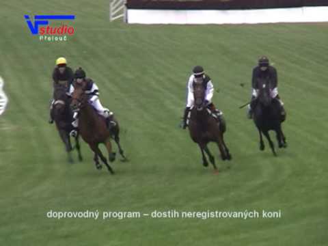 25. 6. 2016 - dostih neregistrovaných koní