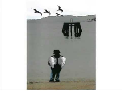 Pajarita pechiblanca