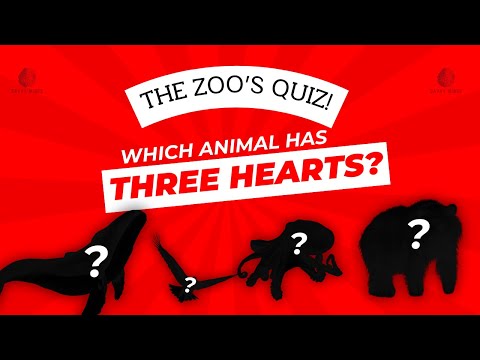 35 Fascinating Animal Trivia Questions: Test Your Wild Knowledge!