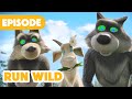 Masha And The Bear NEW EPISODE 2025 Run Wild Episode 146
