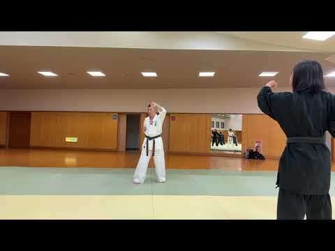 総合格闘技と柔術スパーリング