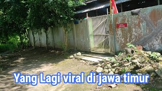 Download lagu Misteri dunia❗yang lagi viral makam orang sakti di Jawa timur. mp3