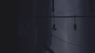 ジェダイト の リトルナイトメア 第2夜　ゆっくりできないスリリングな船の旅(密航）