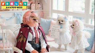 ラプラス＆フワモコ＆ルイ姐 「エ⭕️ビデオ」に聞こえちゃったラプラス＆フワモコカフェにルイ姐が本気で焦る。ラプラスダークネス/フワワ・アビスガード/モココ・アビスガード/鷹嶺ルイ/ホロライブ切り抜き