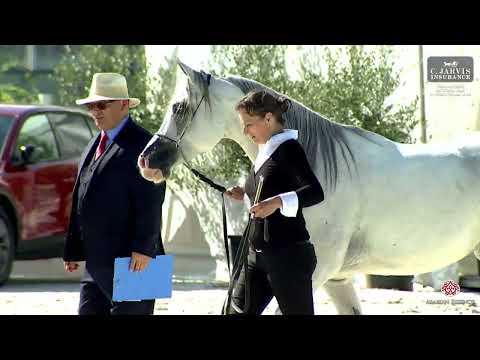 Prague  2023 Intercup   Class 4