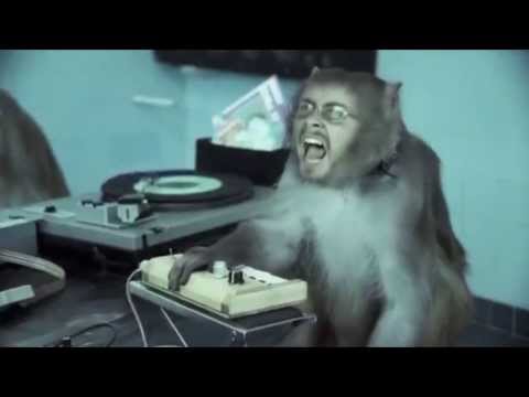 UNU' Vs. Basement Jaxx ,Tag Team & Bloodhound Gang - Where's Your Head At ? (Let The Monkeys Dance)