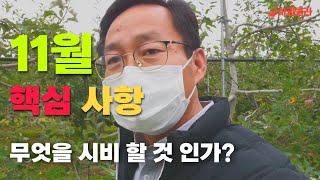 [사과재배] 11월 수확후 과수원 관리/저장고 입고후 관리