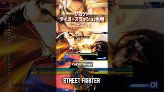 【SF6】サガット タイガースラッシュ活用ゴミコンボ！