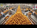 How KFC Crispy Tenders Are Made In A Factory Crispy Tenders Factory Process