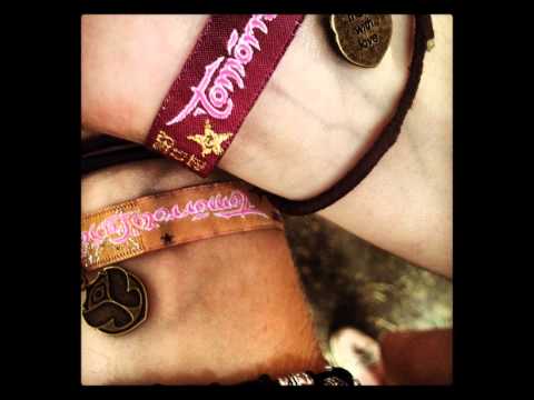 Dimitri Vegas & Like Mike Vs SHM - Tomorrowland Will Save The World (DennTeaSe Bootleg Mix)