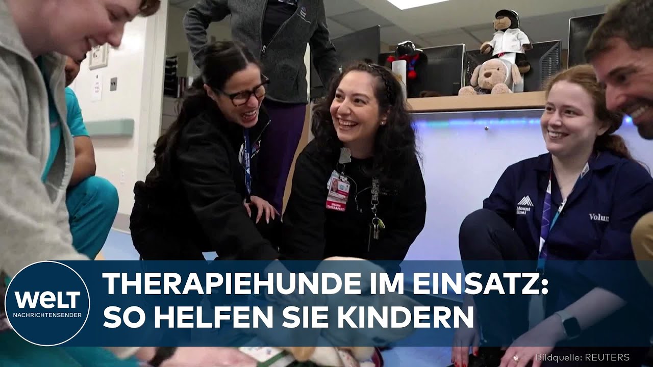 THERAPIEHUNDE IN NEW YORK: Wie Klinik-Hunde kranken Kindern mit schweren Erkrankungen helfen