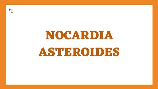 Nocardia asteroides and Nocardiosis (pulmonary, cutaneous, disseminated or CNS)