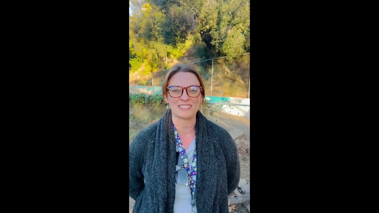 video testimonial about Terri Allen